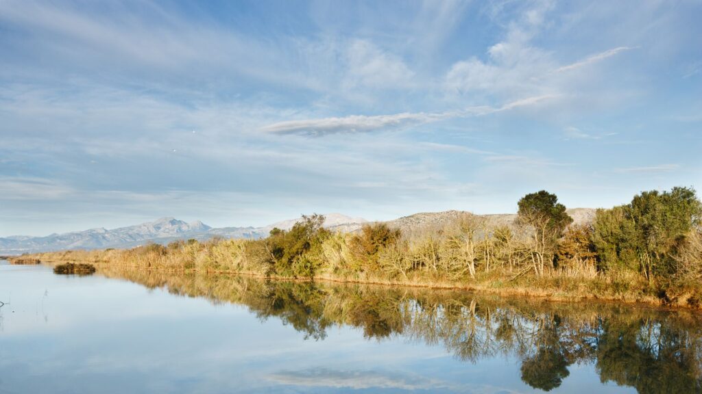 Parc Natural de s'Albufera