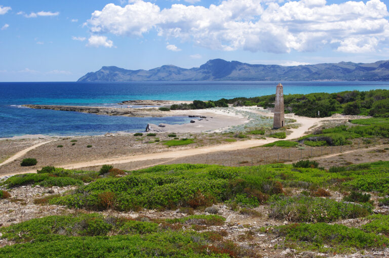 Itinerari Carretera Alcúdia - Artà