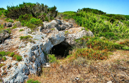 Cova de Son Real II