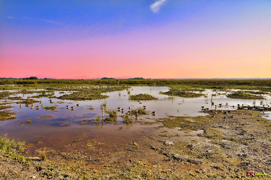 Parc Natural de s’Albufera de Mallorca