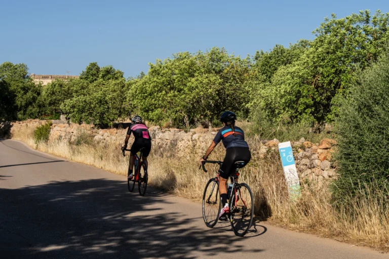 Ruta desde playa de Palma / El Pla de Mallorca