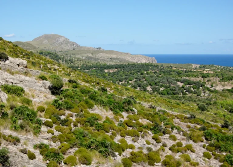 Son Serra de Marina – Parc Natural de la Pennínsula de Llevant