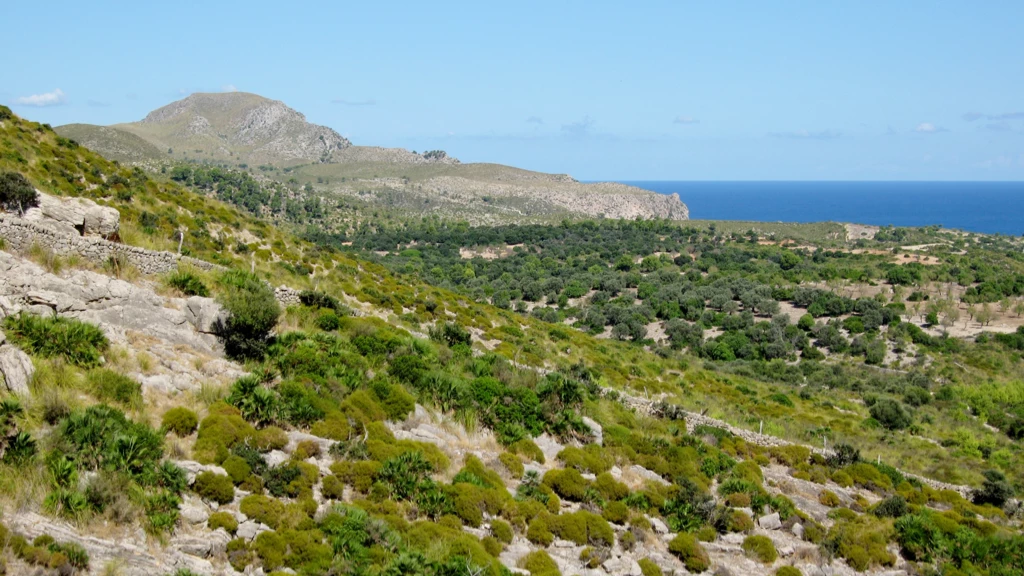 Parc Natural de la Península de Llevant